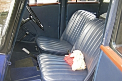 morris 14