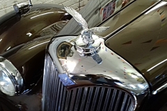 riley rm 8