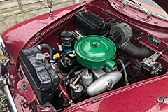 magnette red 6
