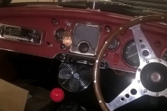 mga racer 40