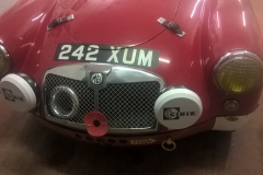 mga racer 50
