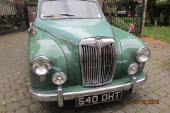 magnette green 003