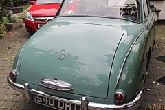magnette green 006