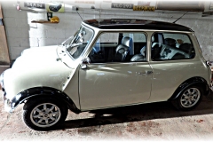 mini 2