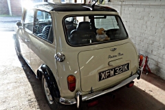 mini 3